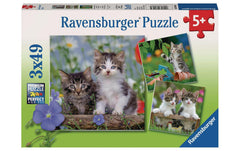 Ravensburger | Puzzle Süsse Samtpfötchen | 3 X 49 Teile
