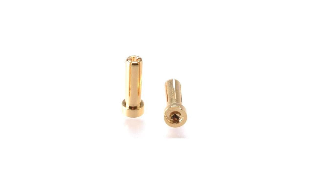 EP 90° 5mm Goldstecker für Hardcase-Pack