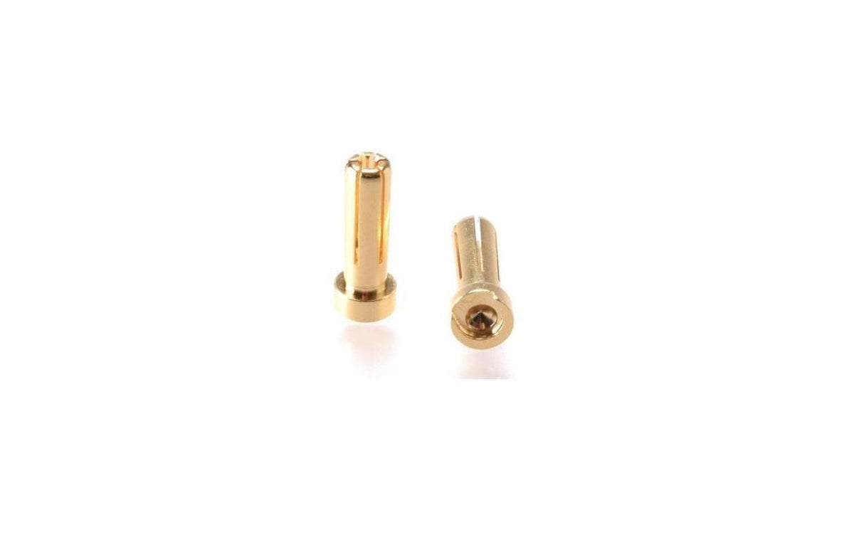 EP 90° 5mm Goldstecker für Hardcase-Pack