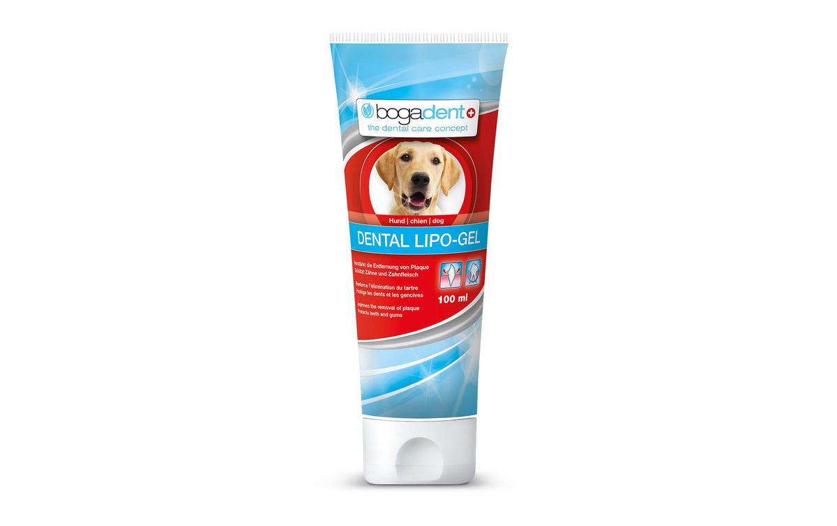 bogadent DENTAL LIPO-GEL