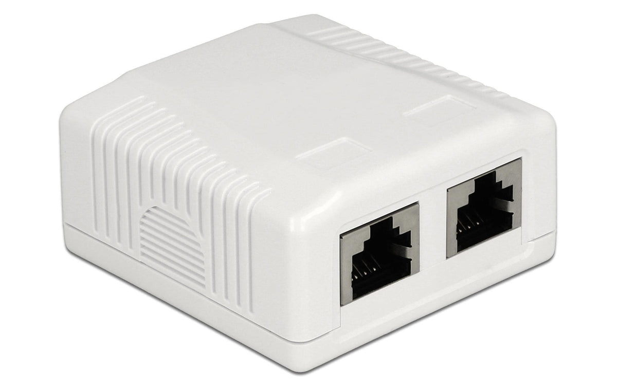 Delock RJ-45 Cat.6A Gehäuse: 2 Port