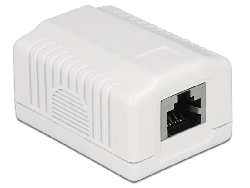 Delock | RJ-45 Cat.6A Gehäuse: 1 Port | Weiss, LSA Anschluss für Installationskabel