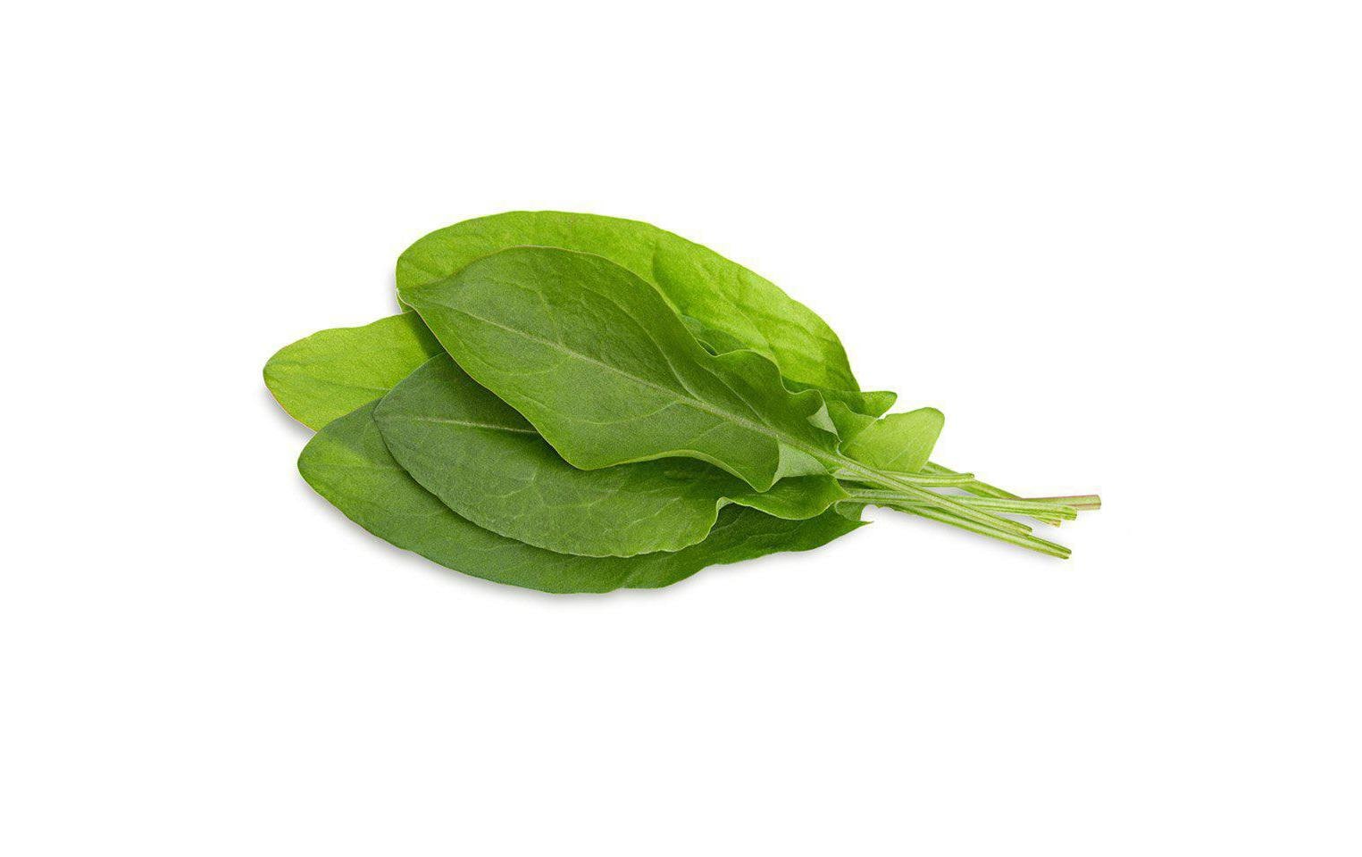 Click and Grow Smart Garden Plant Pod