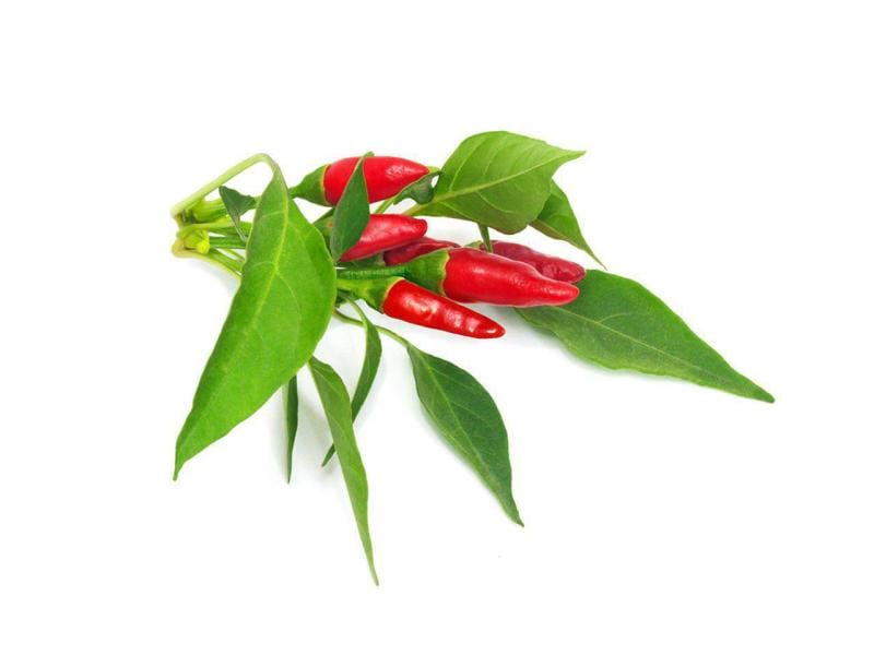 Click and Grow | Smart Garden Plant Pod | 3-pack, Piri Piri Chili