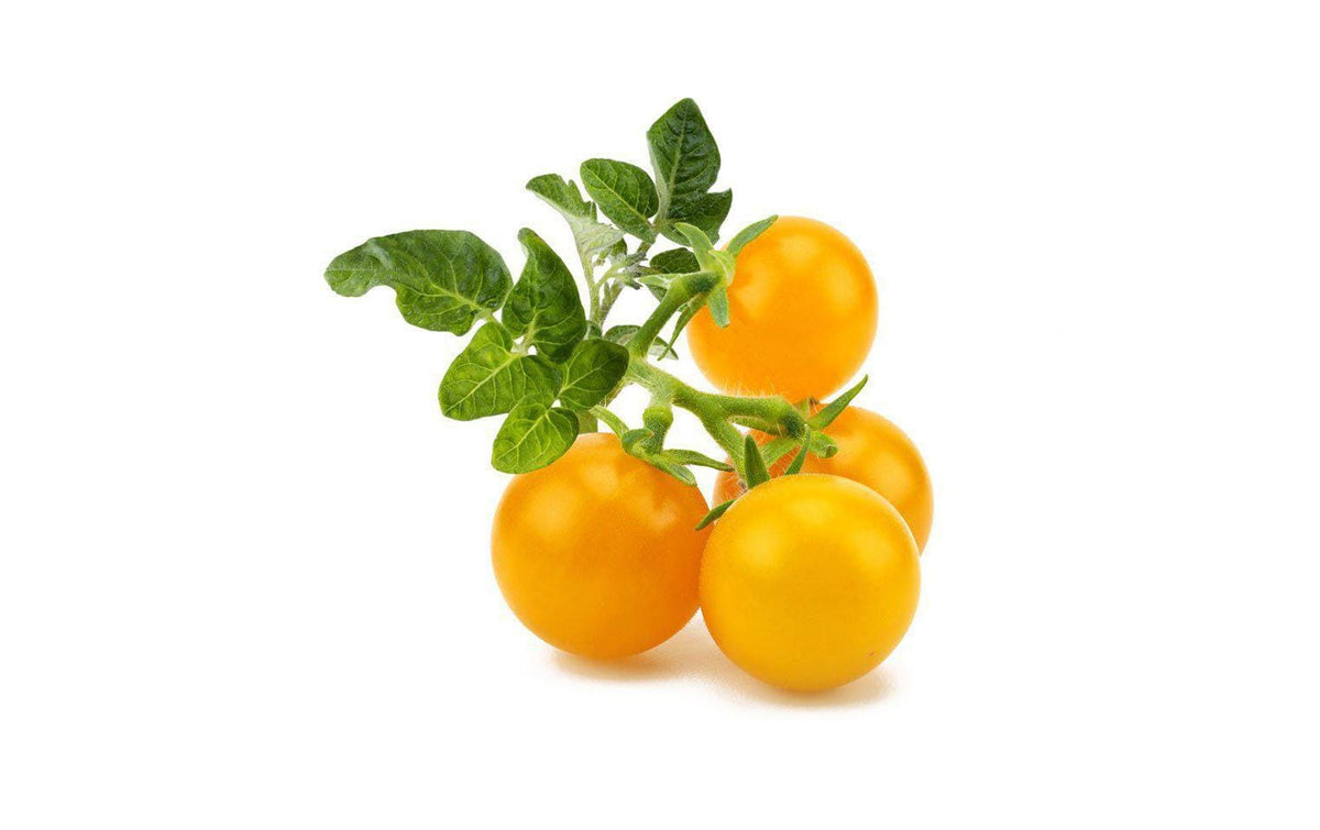 Click and Grow Smart Garden Plant Pod